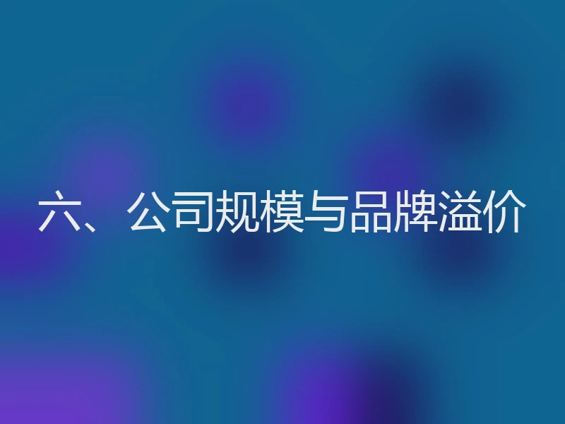 六、公司规模与品牌溢价