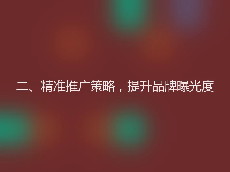 二、精准推广策略，提升品牌曝光度