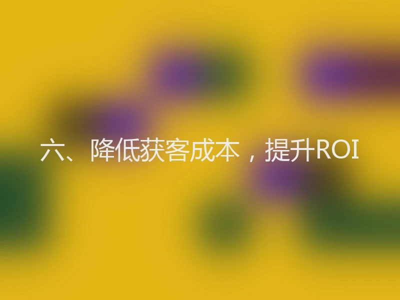 六、降低获客成本，提升ROI