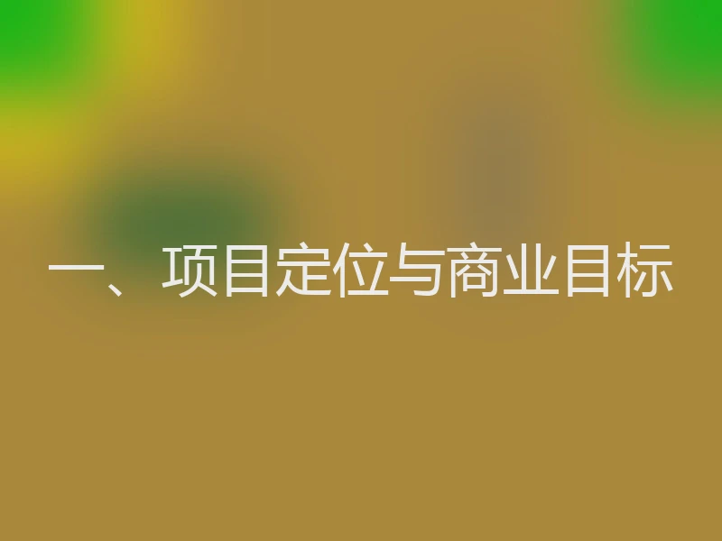 一、项目定位与商业目标