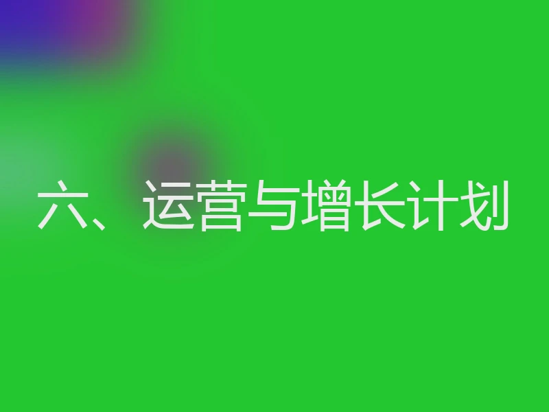 六、运营与增长计划