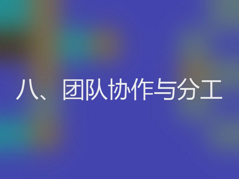 八、团队协作与分工