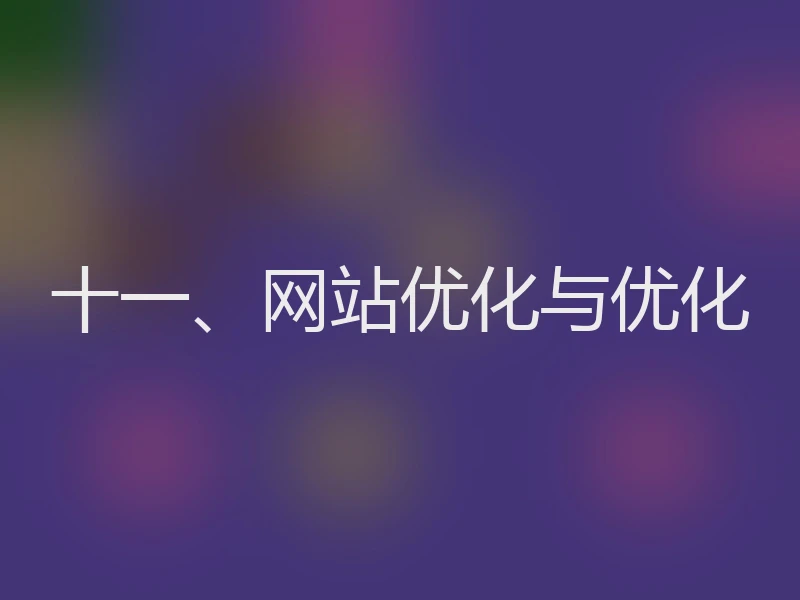 十一、网站优化与优化
