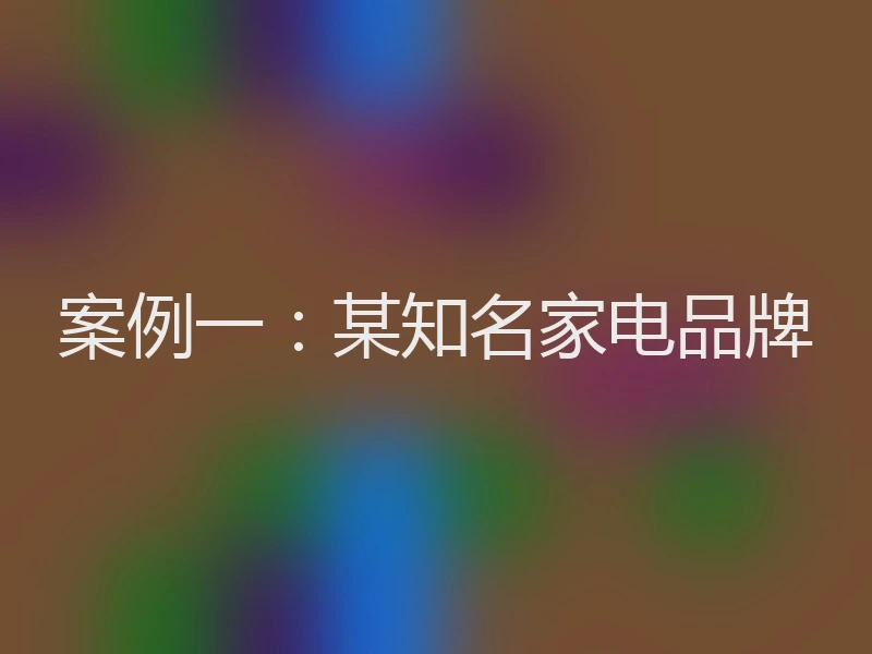 案例一：某知名家电品牌
