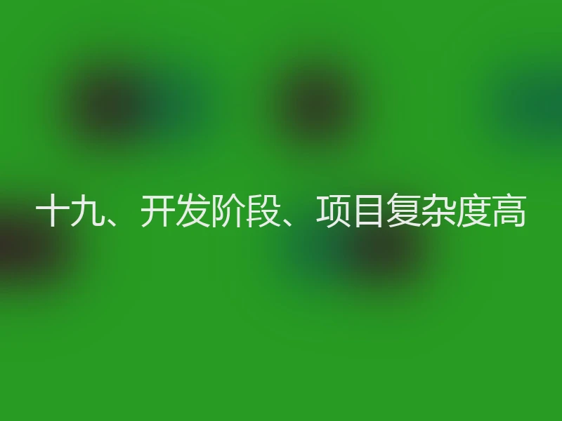 十九、开发阶段、项目复杂度高