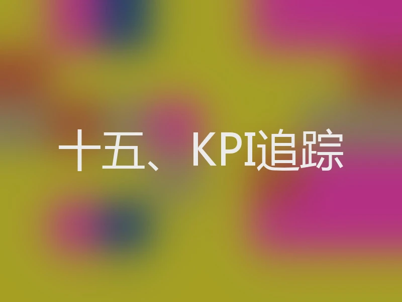 十五、KPI追踪