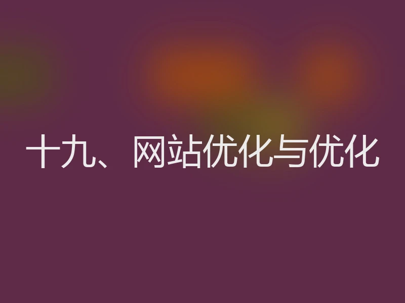 十九、网站优化与优化