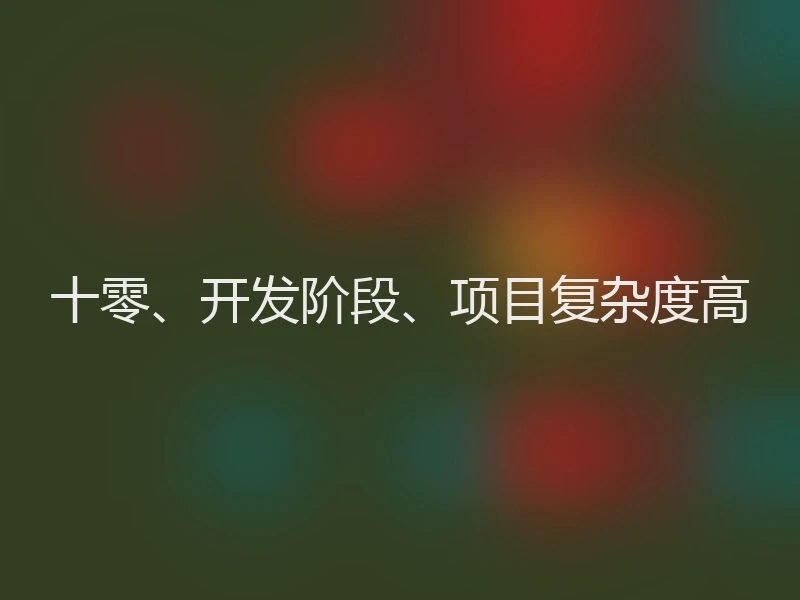 十零、开发阶段、项目复杂度高