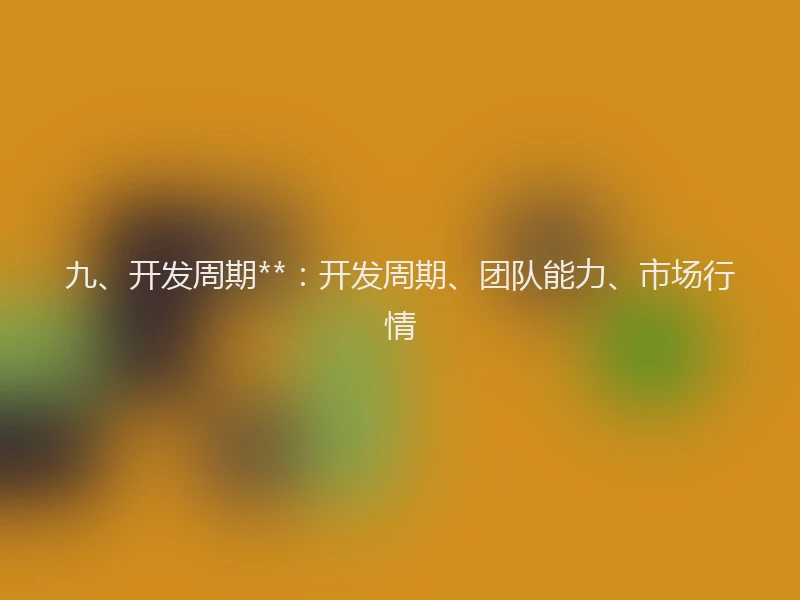 九、开发周期**：开发周期、团队能力、市场行情