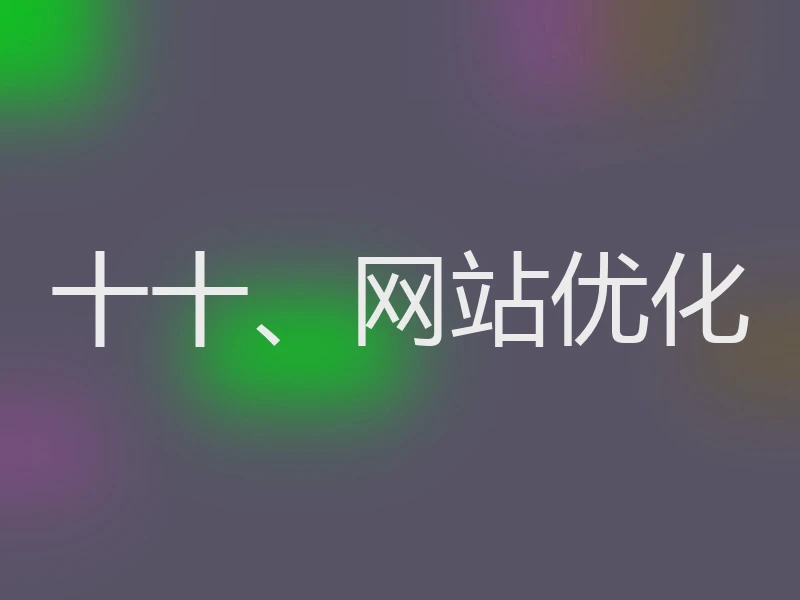 十十、网站优化
