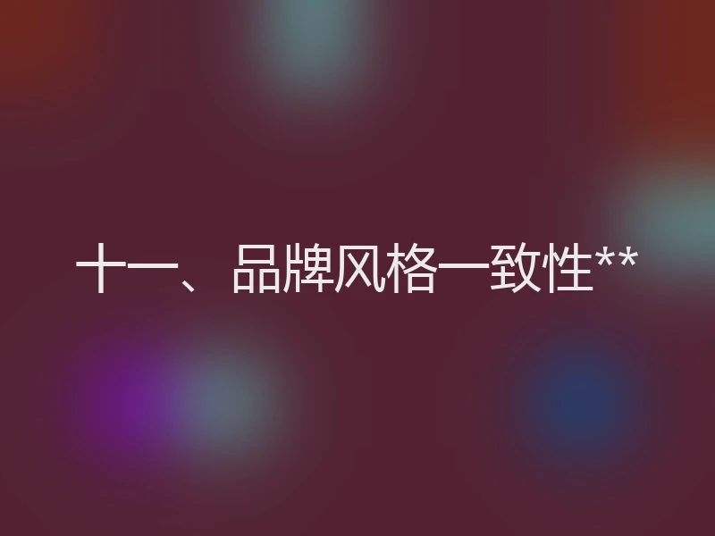 十一、品牌风格一致性**