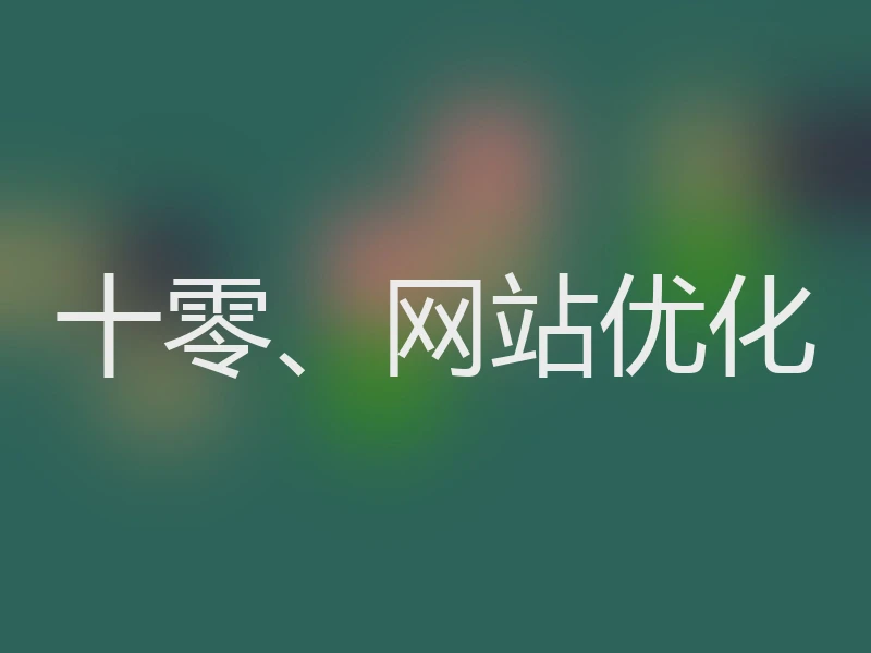 十零、网站优化