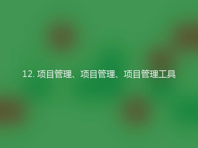 12. 项目管理、项目管理、项目管理工具