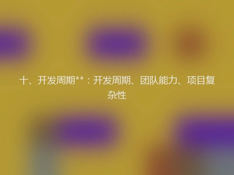 十、开发周期**：开发周期、团队能力、项目复杂性