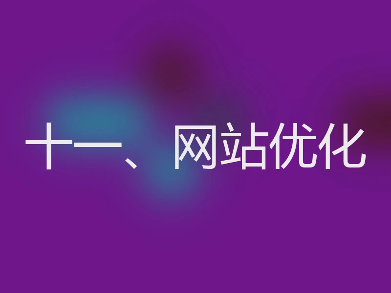 十一、网站优化