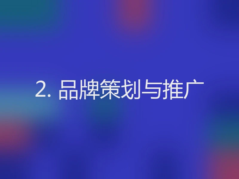 2. 品牌策划与推广