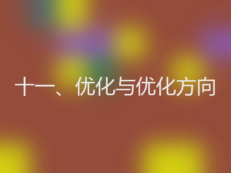 十一、优化与优化方向