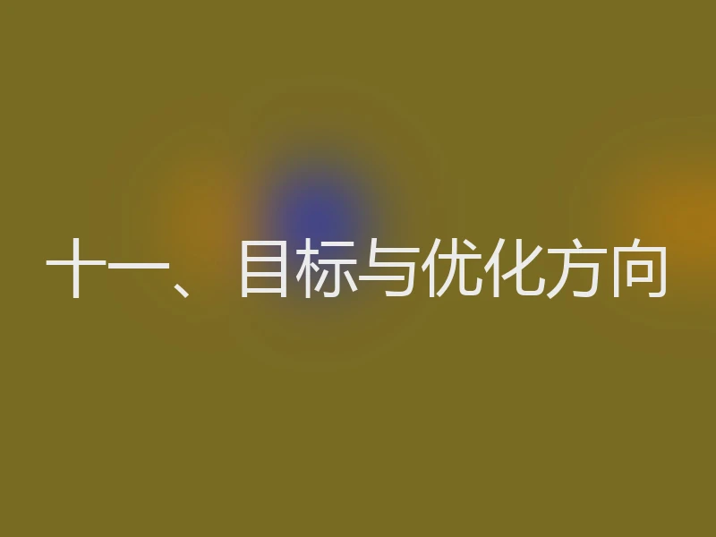 十一、目标与优化方向