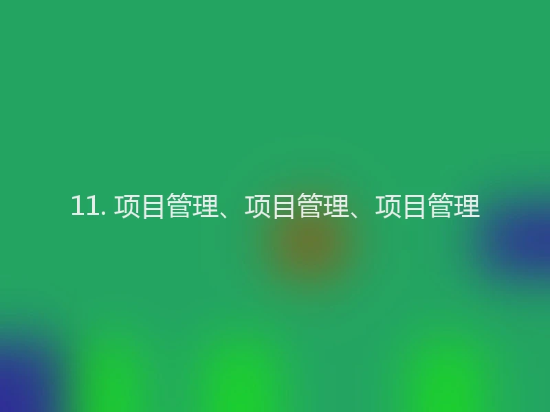 11. 项目管理、项目管理、项目管理