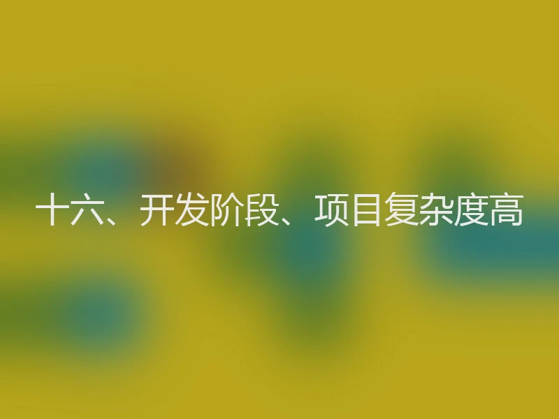 十六、开发阶段、项目复杂度高