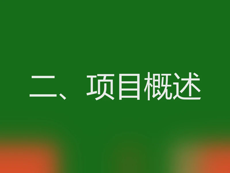二、项目概述