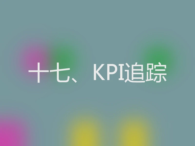 十七、KPI追踪