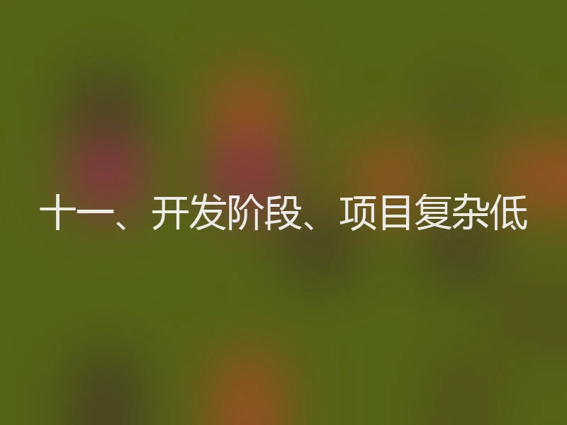 十一、开发阶段、项目复杂低