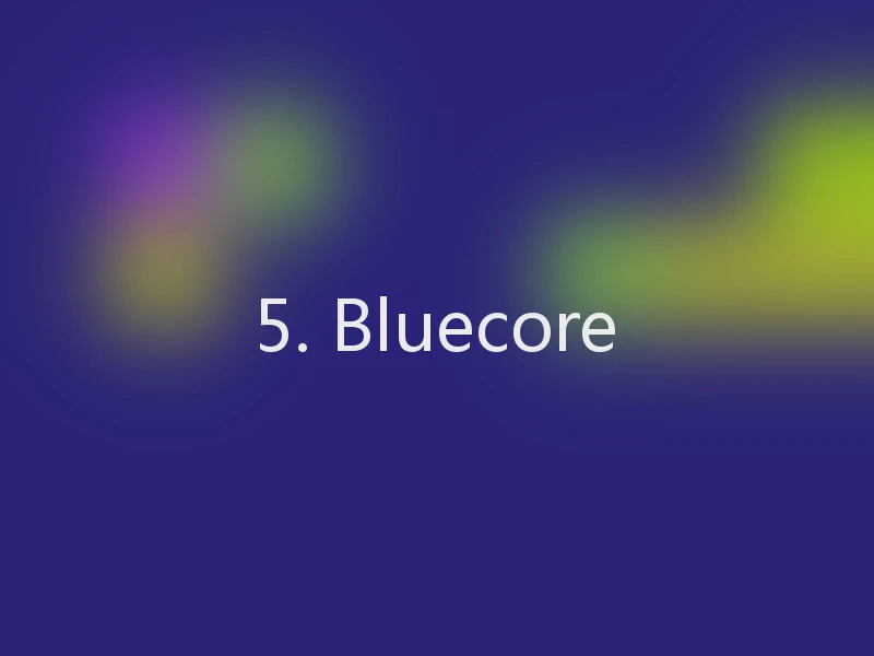 5. Bluecore