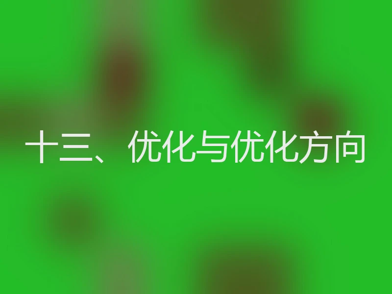 十三、优化与优化方向
