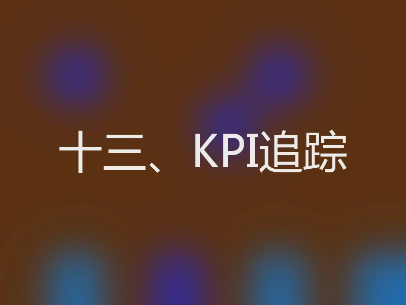 十三、KPI追踪