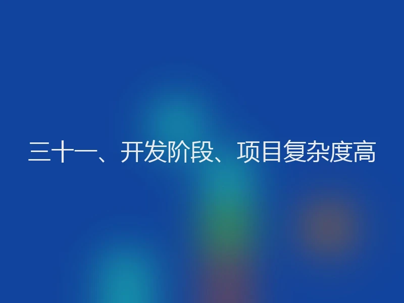三十一、开发阶段、项目复杂度高