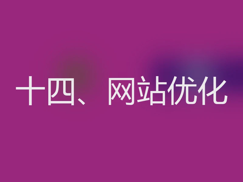 十四、网站优化