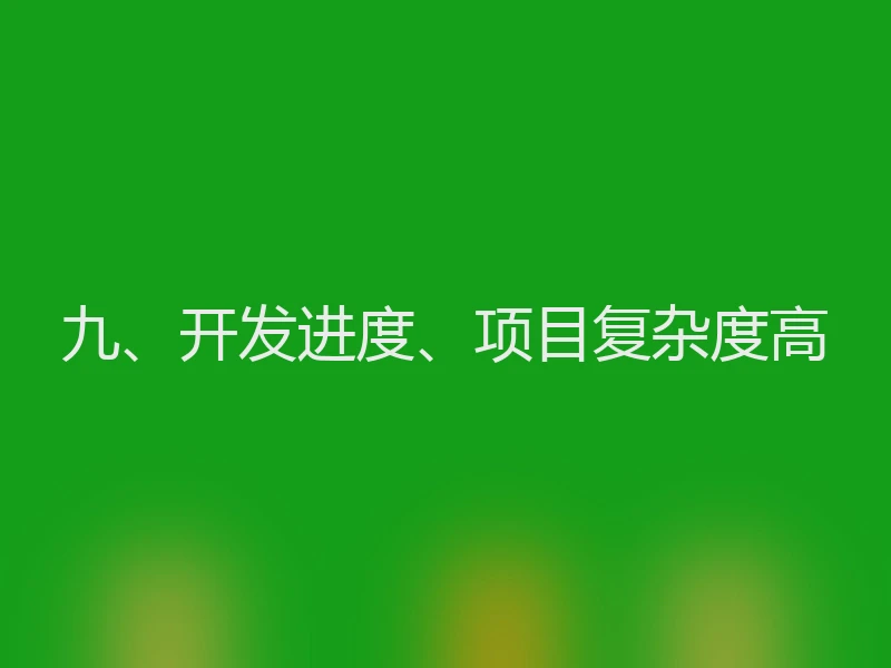 九、开发进度、项目复杂度高