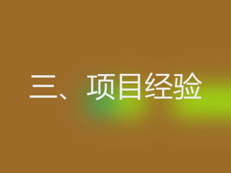 三、项目经验