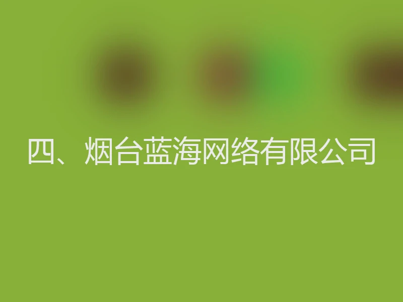 四、烟台蓝海网络有限公司