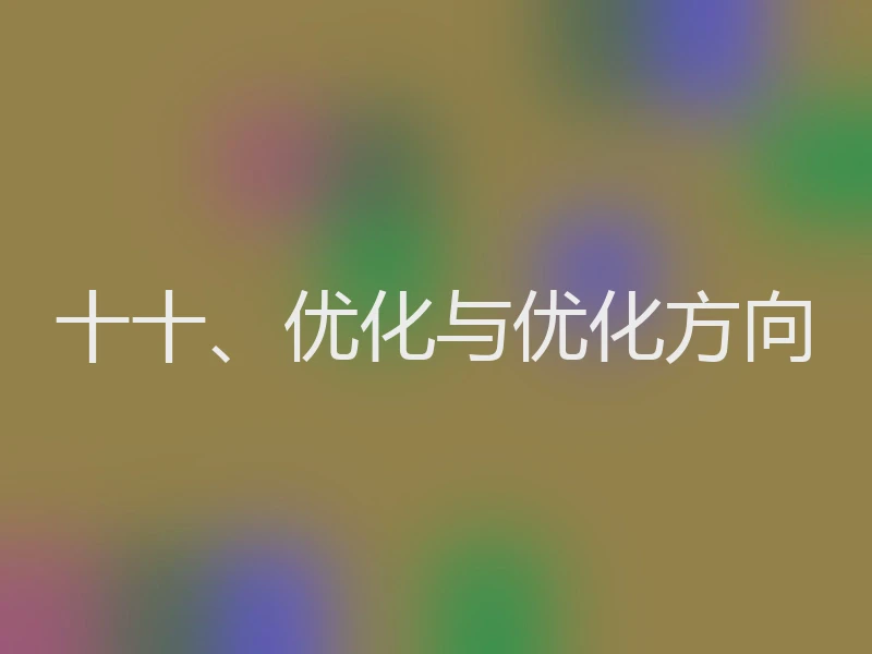 十十、优化与优化方向