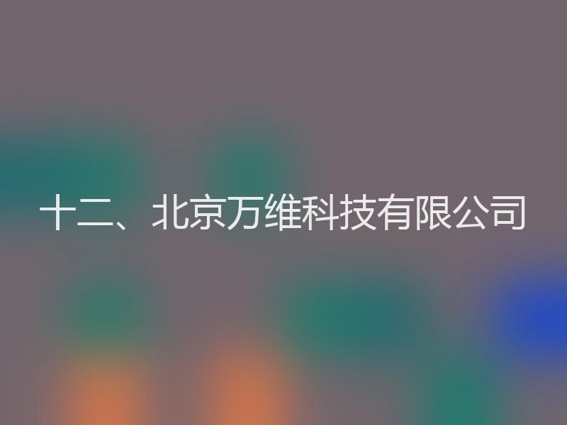 十二、北京万维科技有限公司