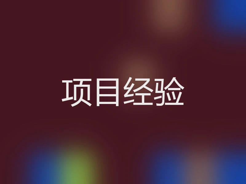 项目经验