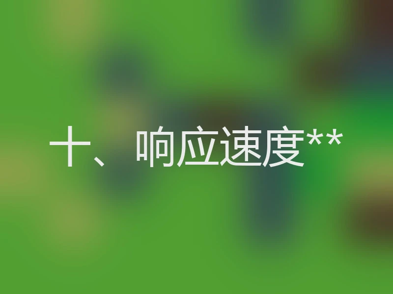 十、响应速度**