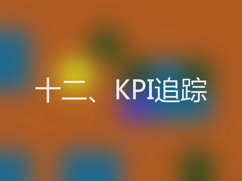 十二、KPI追踪