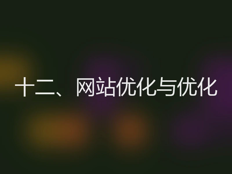十二、网站优化与优化