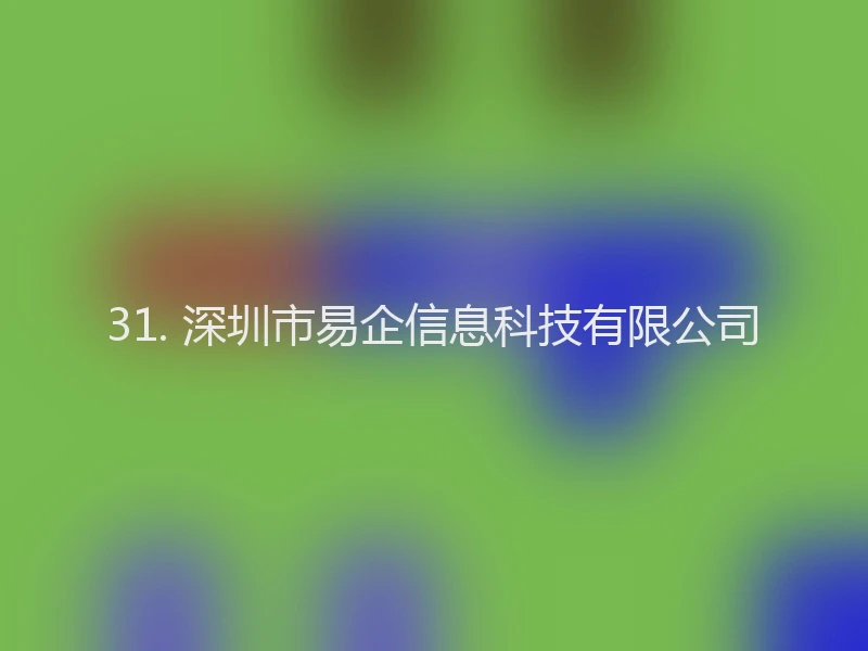 31. 深圳市易企信息科技有限公司