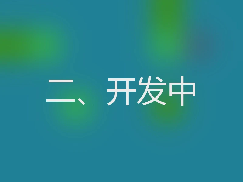 二、开发中