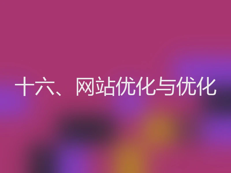 十六、网站优化与优化