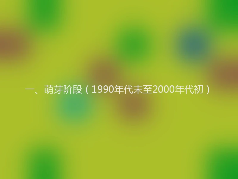 一、萌芽阶段（1990年代末至2000年代初）