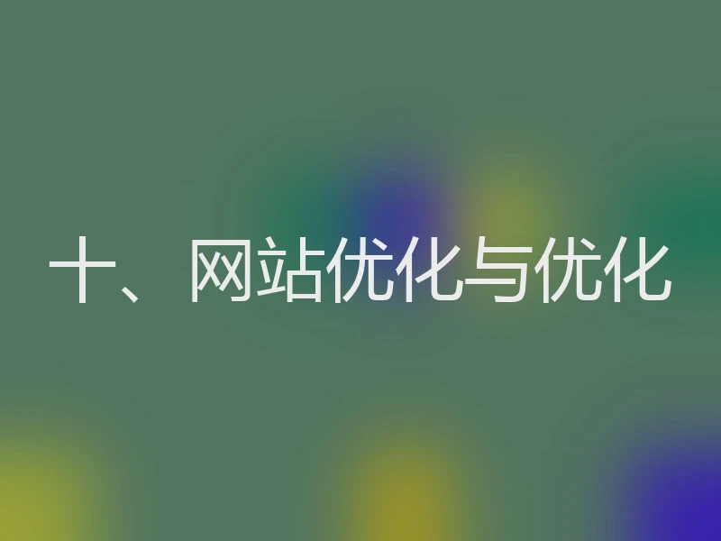 十、网站优化与优化