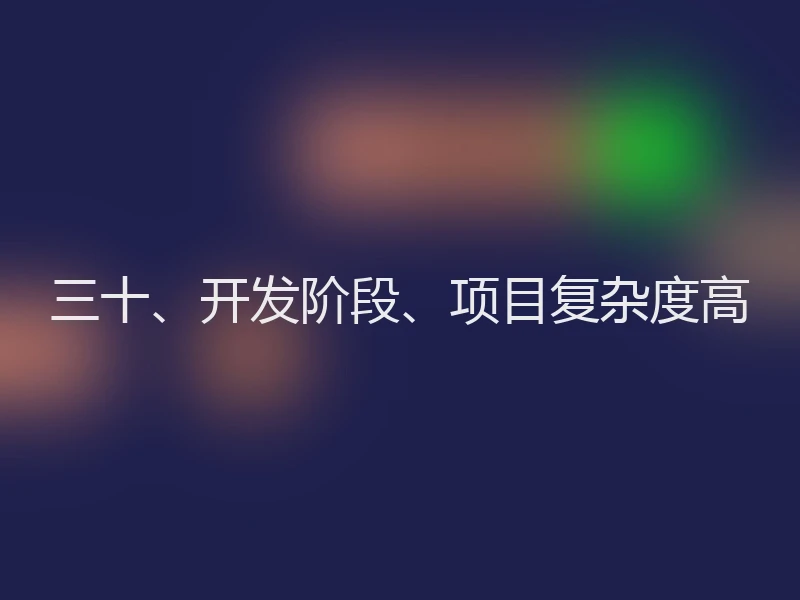 三十、开发阶段、项目复杂度高