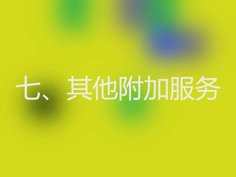 七、其他附加服务