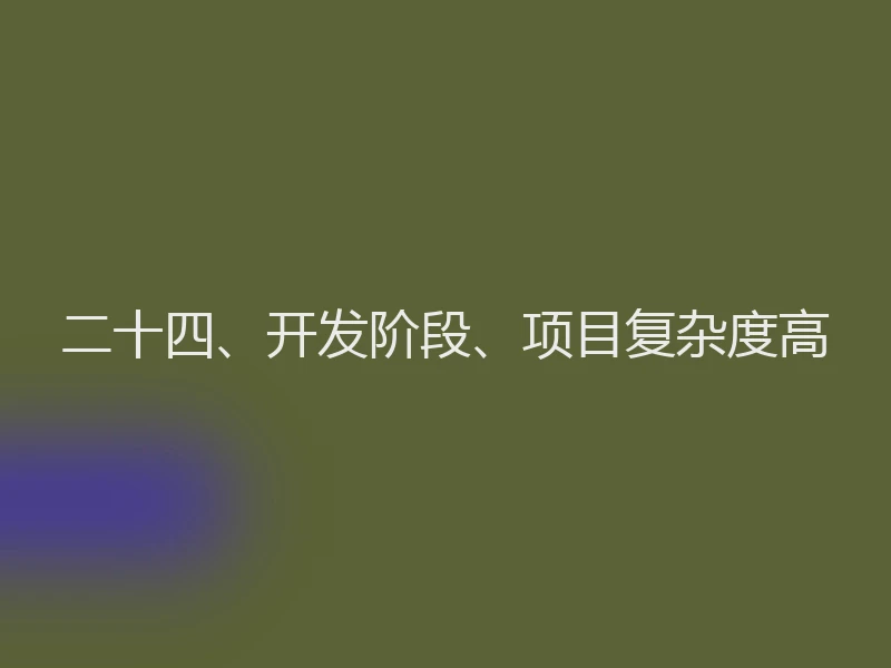 二十四、开发阶段、项目复杂度高