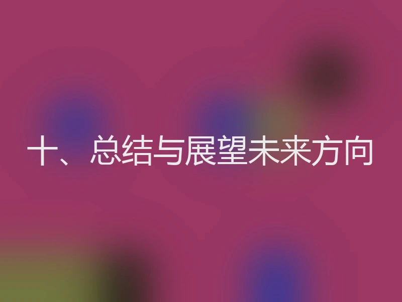 十、总结与展望未来方向
